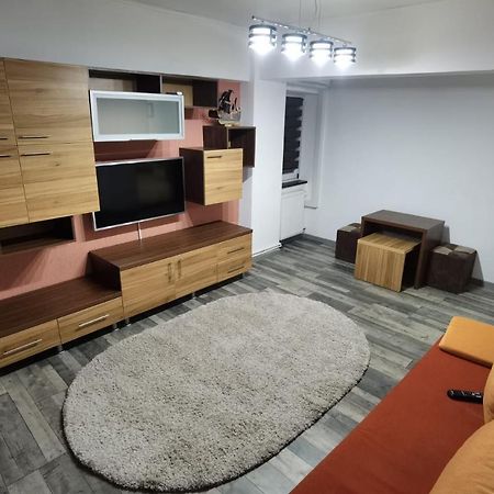 Apartament - Central Târgu Jiu Zewnętrze zdjęcie